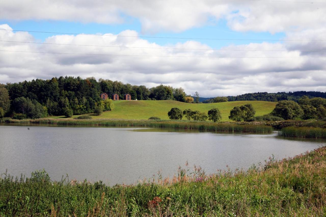 Domek Dzikie Lisko Леско Экстерьер фото
